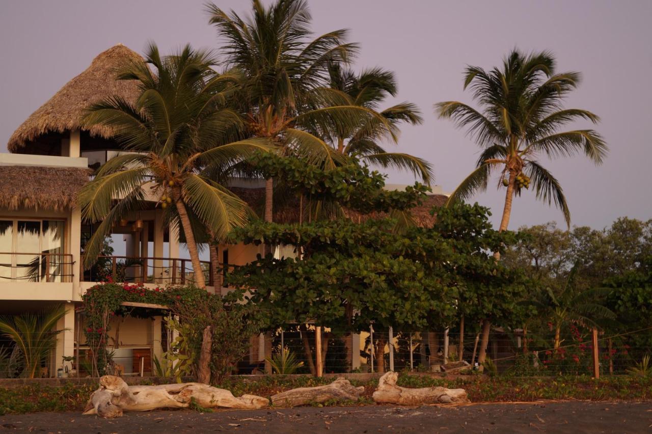 Alive Beach House Transito ภายนอก รูปภาพ